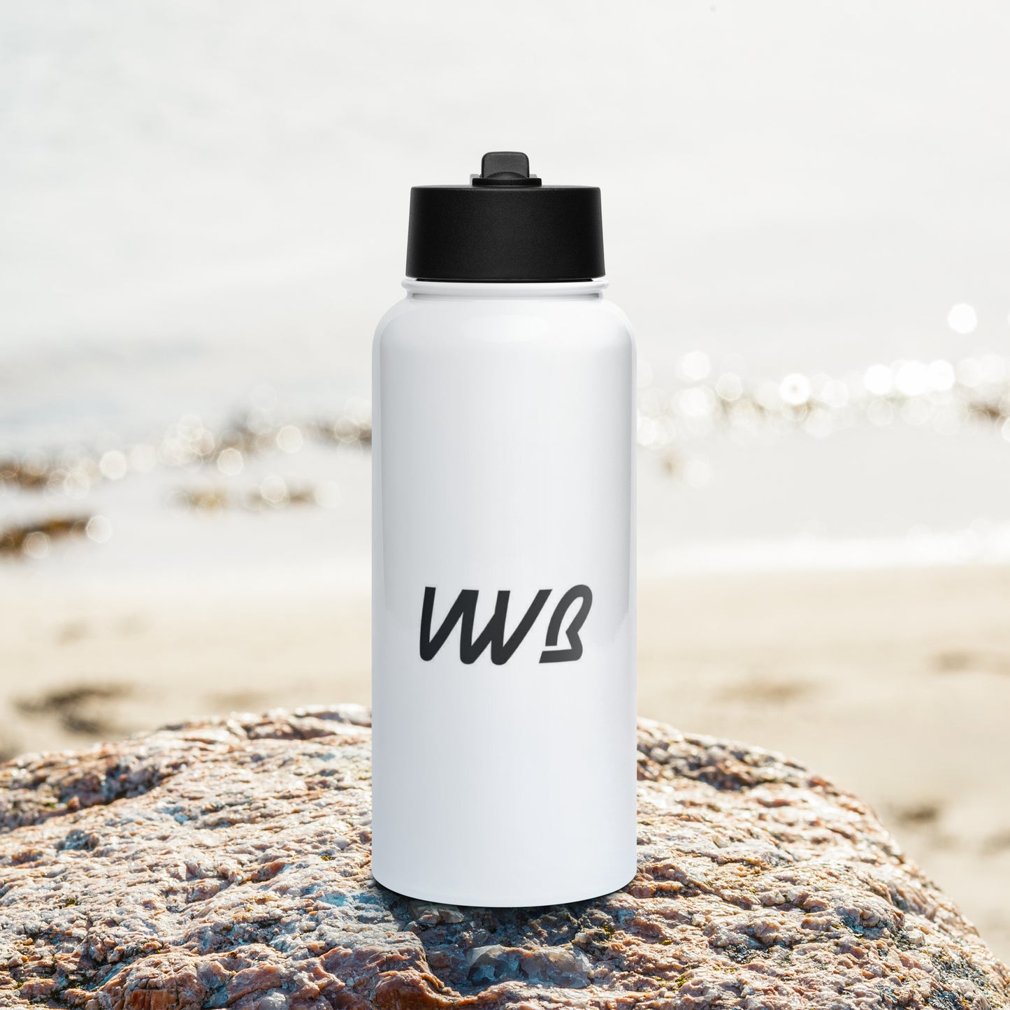 Stainless Steel Water Bottle (w/straw lid)